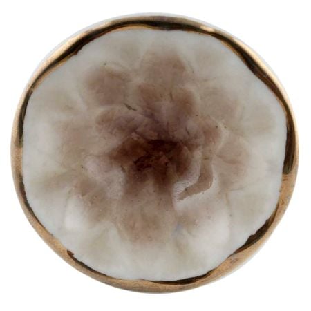 Brown Cut Ceramic Cabinet Knob in Silver Fitting